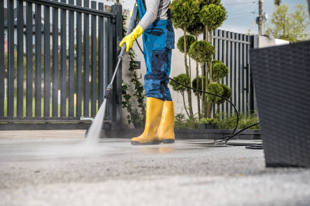 Best Sidewalk and Walkway Cleaning  in Artesia, CA